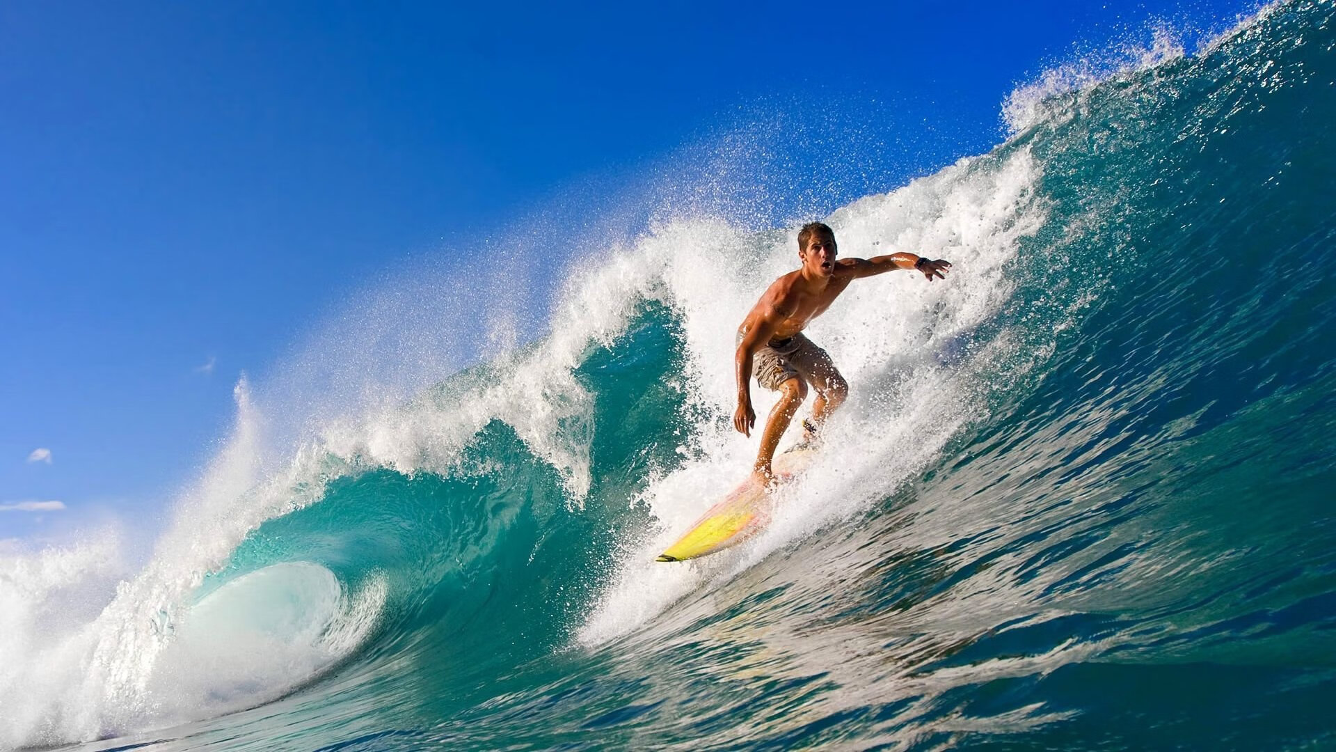 “飞盘竞技：三叉湖赛场成为空中运动爱好者的竞技圣地”